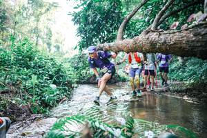 BIB: 
                            <button type="button" onclick="openModal(25451427)" class="btn btn-primary btn-sm float-right btn-popup" data-toggle="modal" data-target=".modal-high-quality">
                        <i class="fas fa-shopping-cart"></i> Add to Cart
                    </button>
                                            <button type="button" onclick="isThisMe(25451427, true)" class="btn btn-success btn-sm float-right btn-popup btn-isme hidden" data-toggle="tooltip" data-placement="bottom" title="นี่คือรูปของคุณใช่ไหม คลิกที่นี่เพื่อเอาเข้าอัลบั้ม">
                        <i class="fas fa-plus"></i> Add to album
                    </button>
                    <button type="button" onclick="isThisMe(25451427, false)" class="btn btn-warning btn-sm float-right btn-popup btn-isnotme hidden">
                        <i class="fas fa-ban"></i> Remove from album
                    </button>